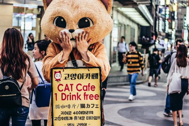 "הכל קשור לים התיכון: מבט מקרוב על נתניה, ישראל"