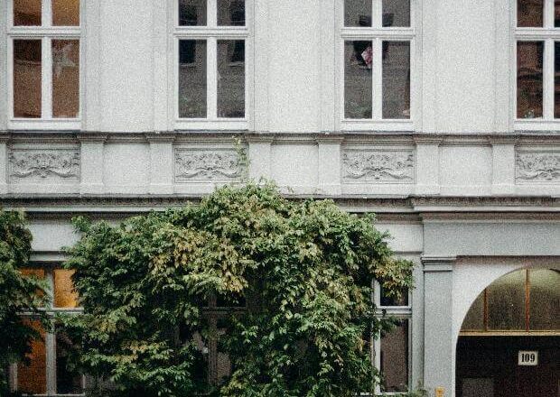 תל אביב היא העיר הגלובלית של ישראל: מדריך לתרבות עשירה ולמראות מרגשים